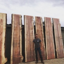 Giant Redwood Boards. One is now a bar top.